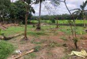 Facing Paddy Field Land for Sale in Udugampola