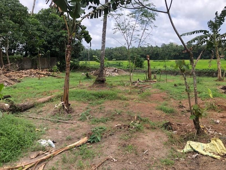 Facing Paddy Field Land for Sale in Udugampola