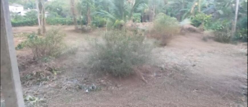 Commercial Land for Sale in Kandana