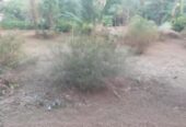 Commercial Land for Sale in Kandana