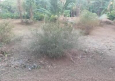 Commercial Land for Sale in Kandana