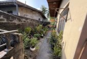 House with Land at Wellampitiya