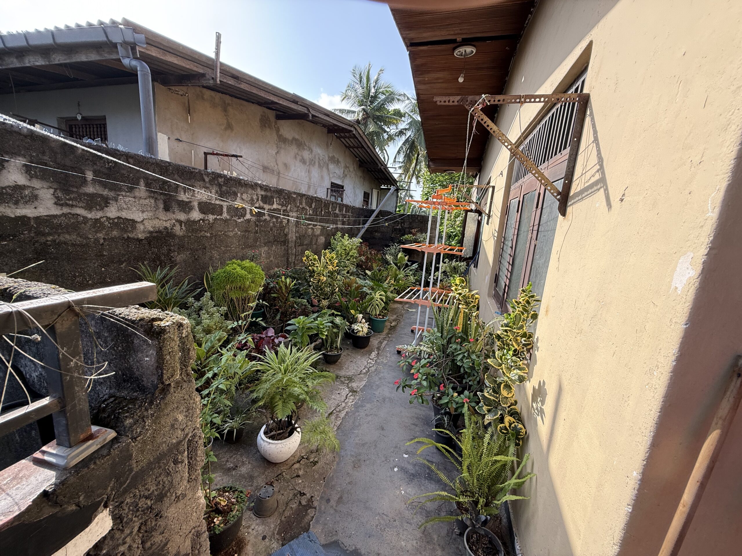 House with Land at Wellampitiya