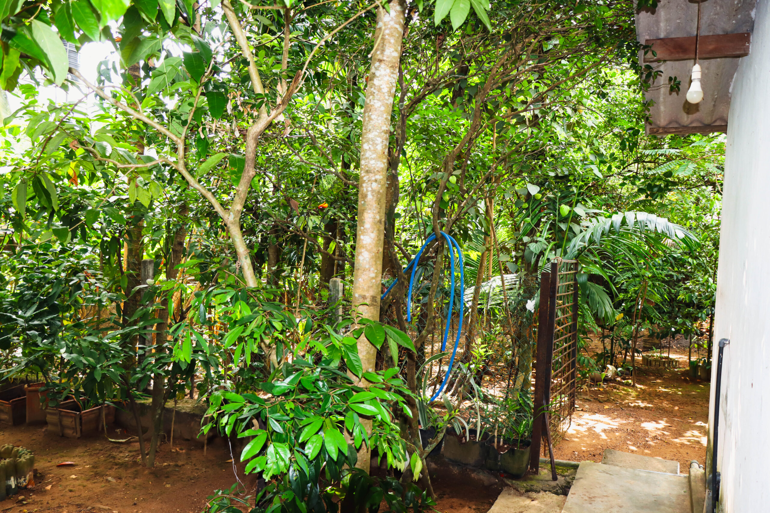 35P of 5-Bedroom House for Sale – Ihala Imbulgoda, Gampaha