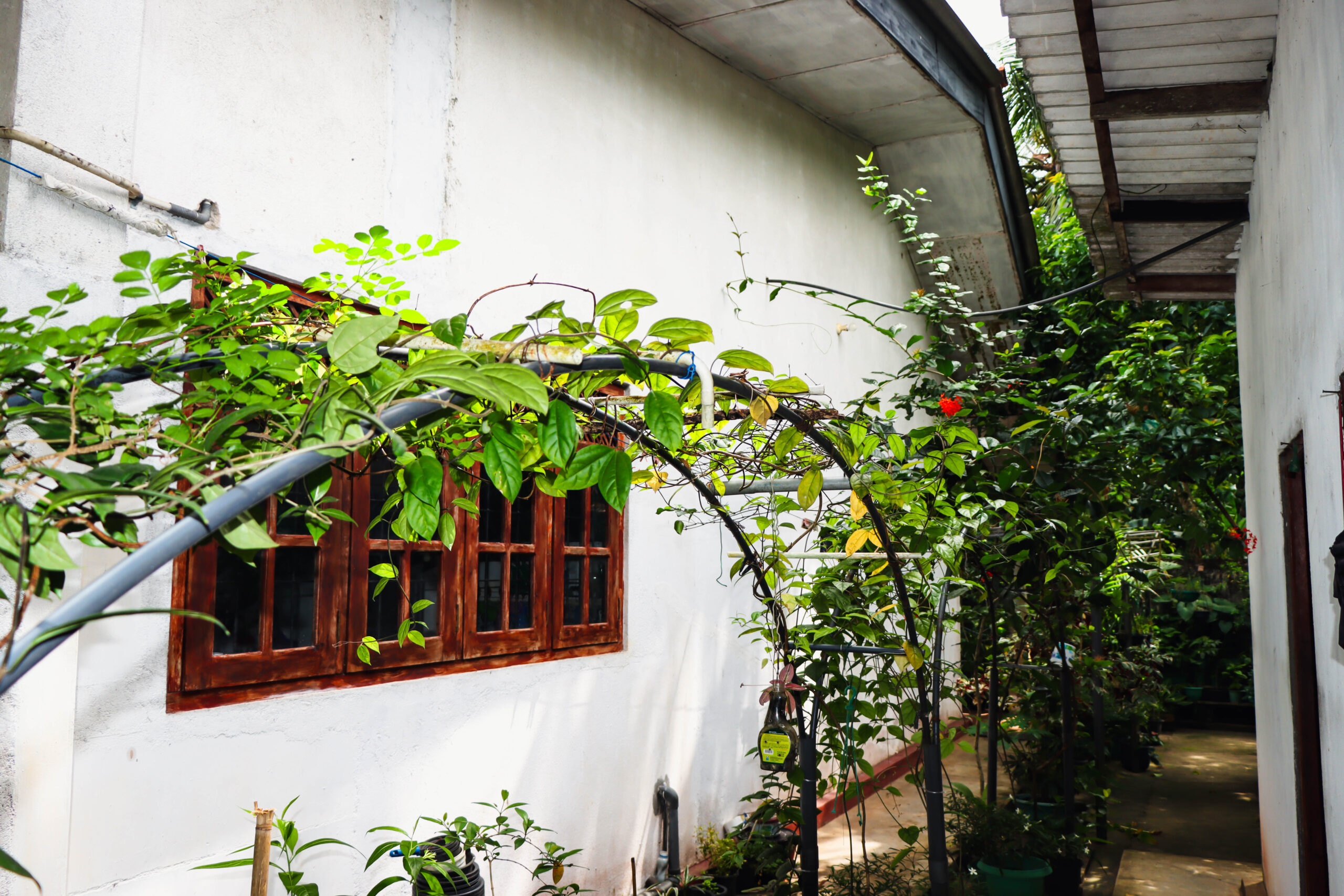 35P of 5-Bedroom House for Sale – Ihala Imbulgoda, Gampaha