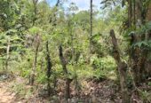 Land for Sale in Agalawatta, Matugama