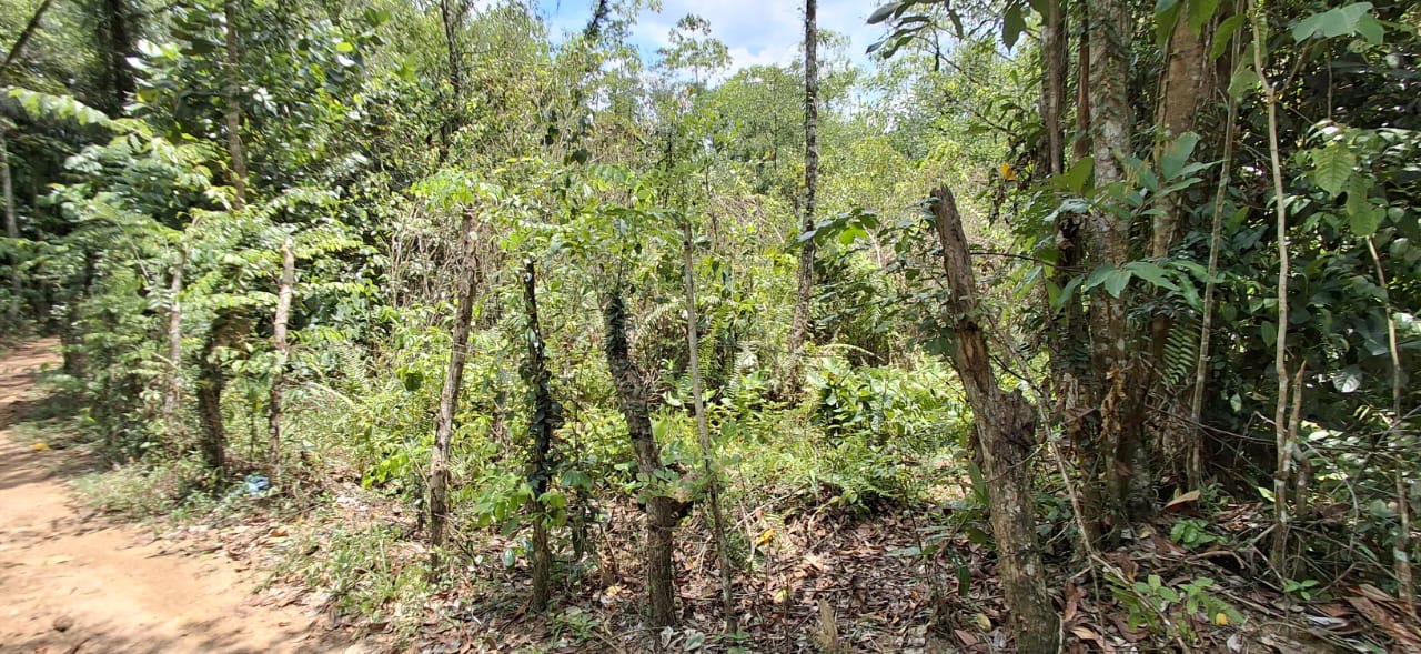 Land for Sale in Agalawatta, Matugama