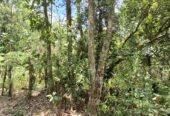 Land for Sale in Agalawatta, Matugama