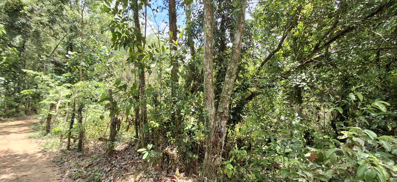 Land for Sale in Agalawatta, Matugama