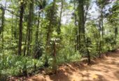 Land for Sale in Agalawatta, Matugama