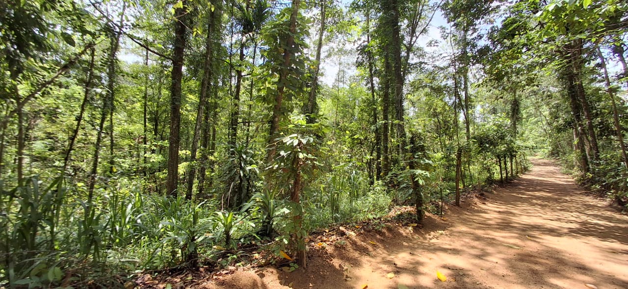 Land for Sale in Agalawatta, Matugama