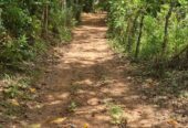 Land for Sale in Agalawatta, Matugama