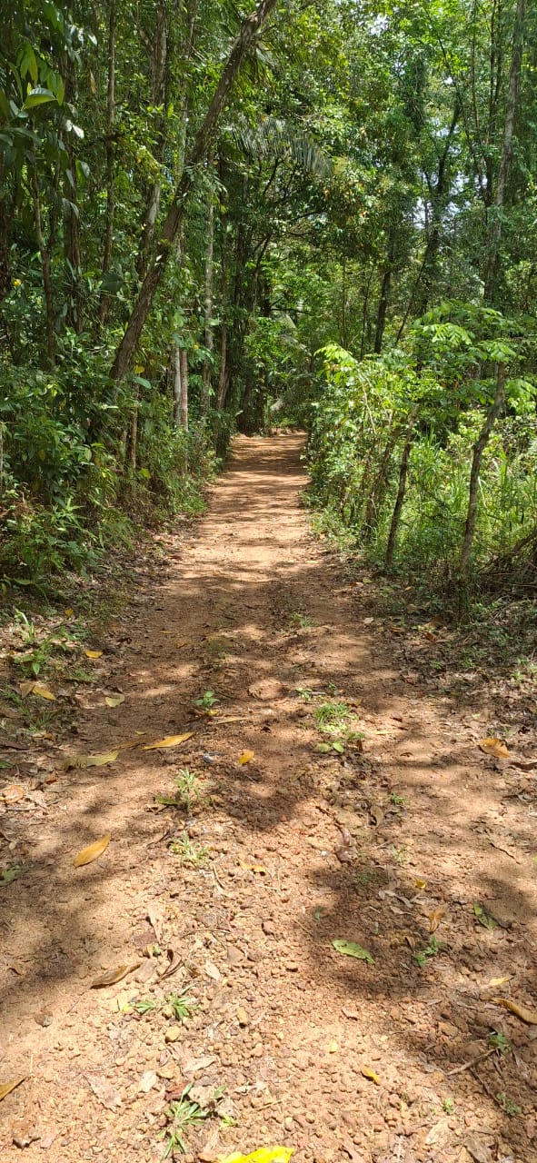 Land for Sale in Agalawatta, Matugama