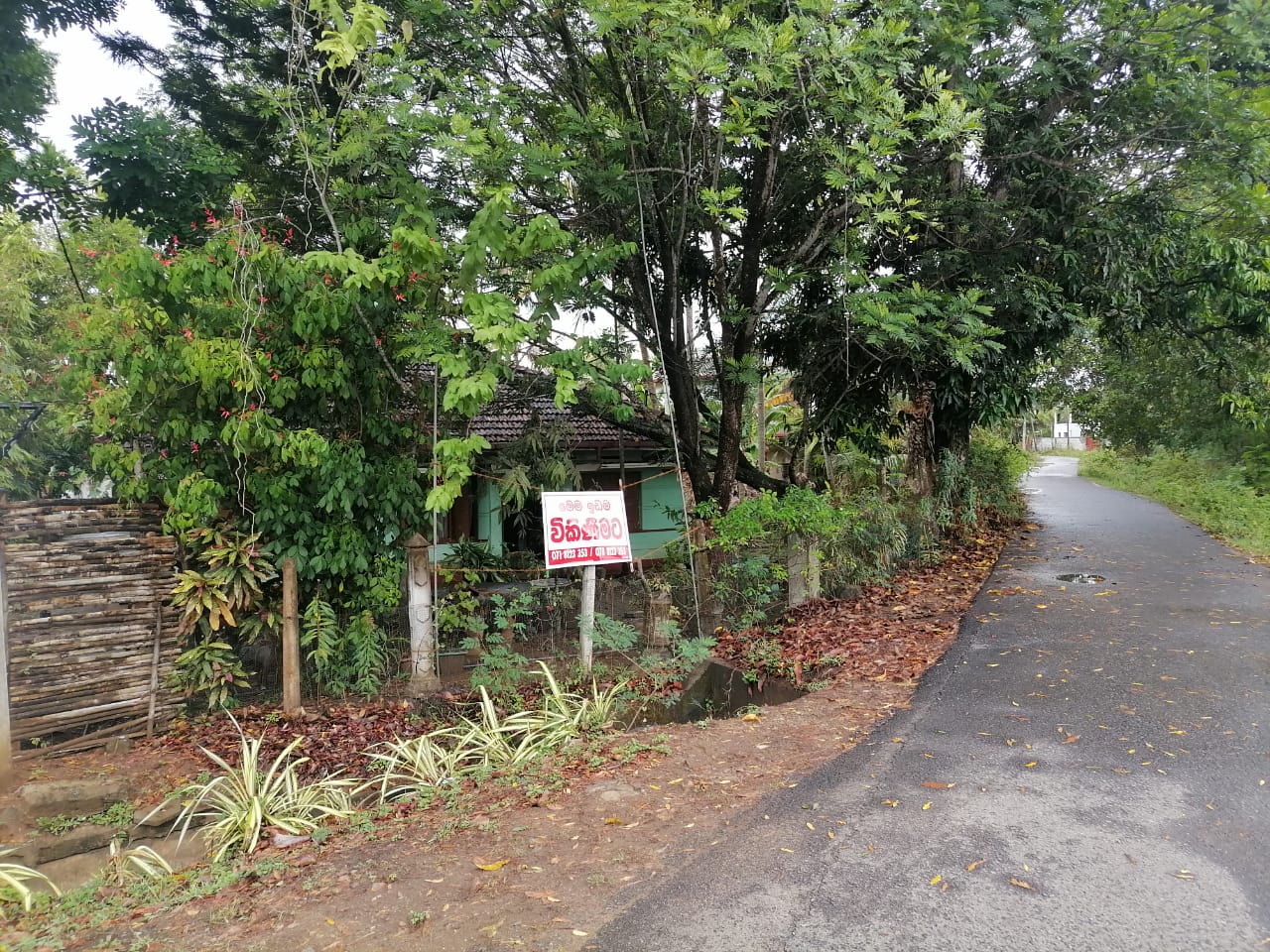 A Land For Sale With House Angunukolapalassa
