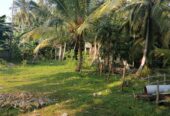 A Land For Sale With House Angunukolapalassa