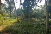 A Land For Sale With House Angunukolapalassa
