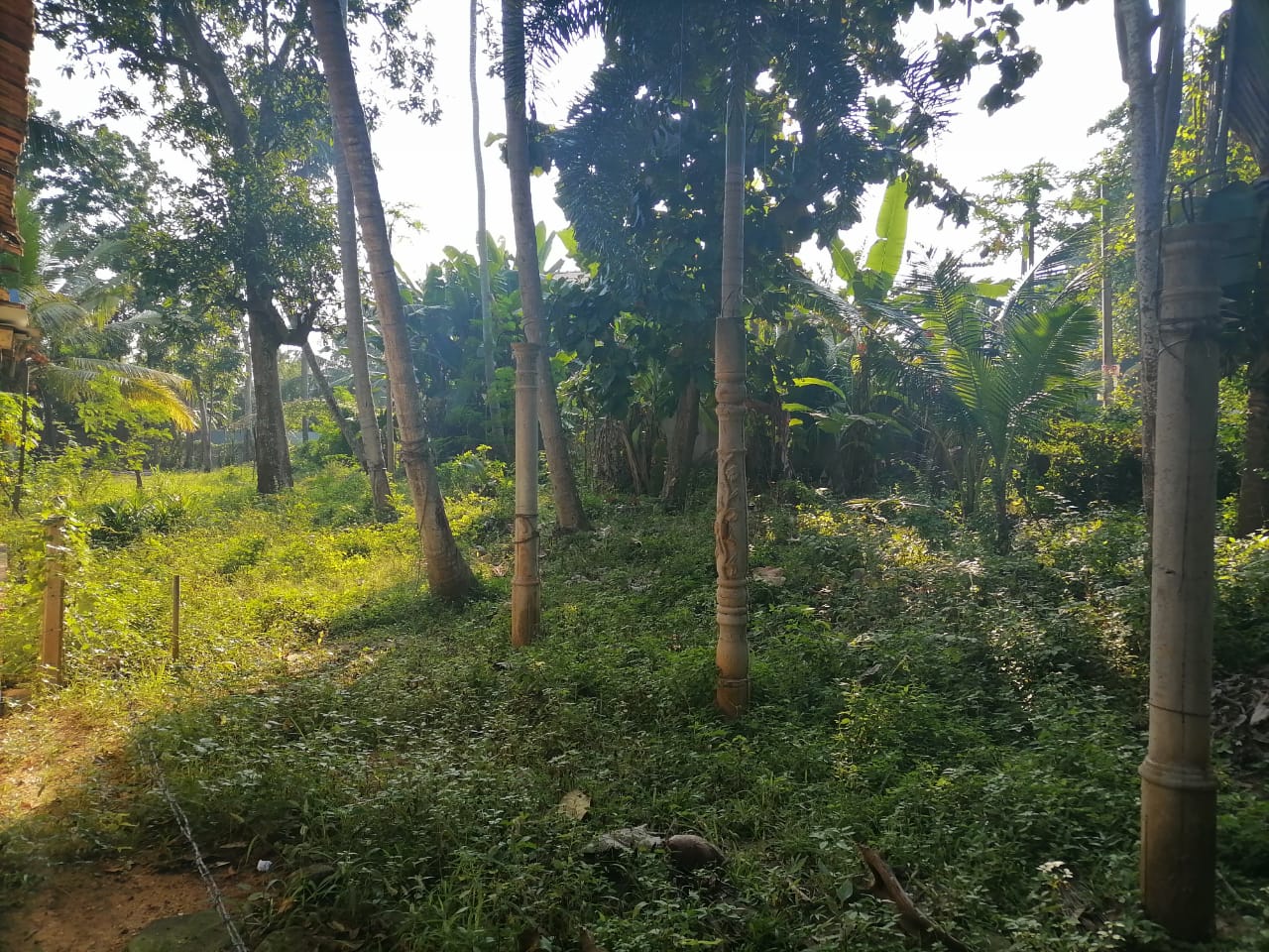 A Land For Sale With House Angunukolapalassa