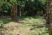 Land in Kahathuduwa Highway Entrance