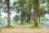 Valuable Land for Sale – Perfect Location