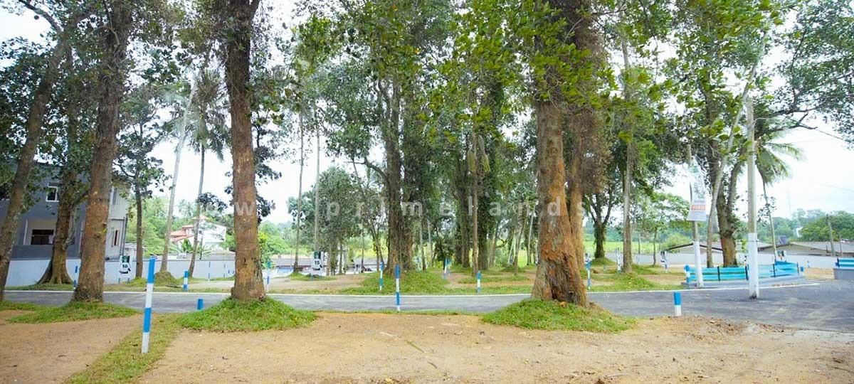 Valuable Land for Sale – Perfect Location