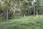 “Land for sale in galle (With Agarwood plantation,1.5km to Southern Expressway)”
