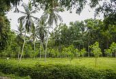 45 Acres of Land for Sale in Pasyala – Nittambuwa