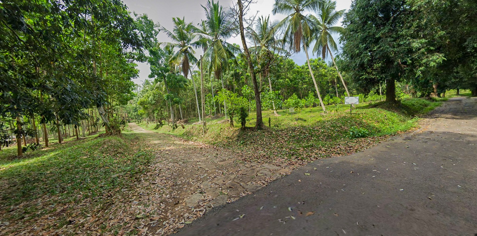 45 Acres of Land for Sale in Pasyala – Nittambuwa