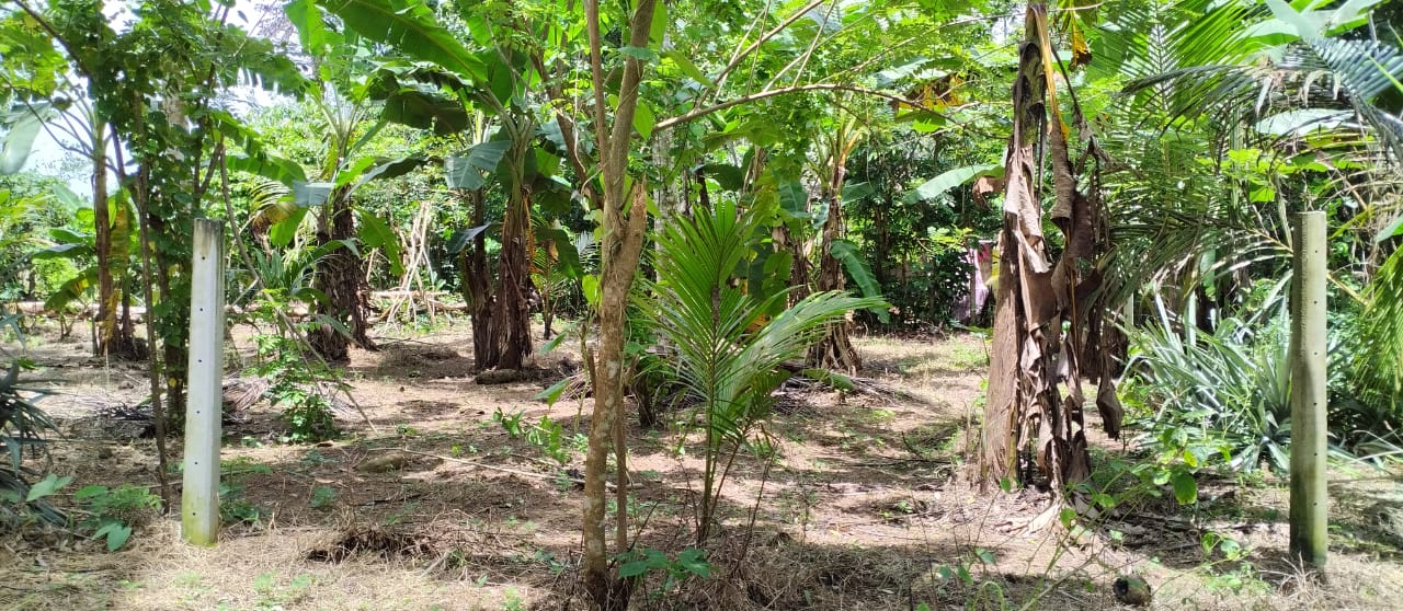 Land For Sale In Polgasowita