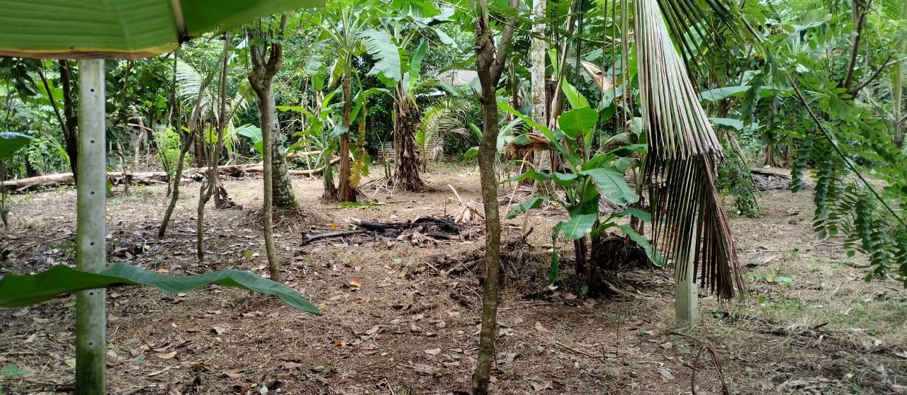 Land For Sale In Polgasowita