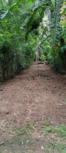 Land For Sale In Polgasowita