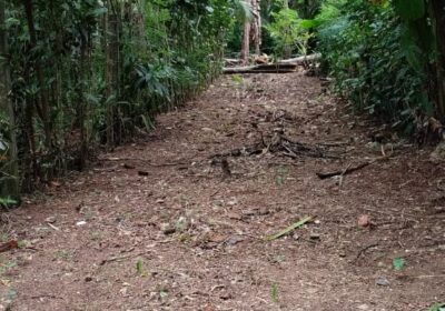 Land For Sale In Polgasowita
