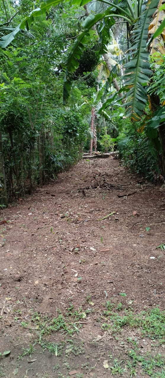 Land For Sale In Polgasowita