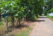Land For Sale In Kuliyapitiya