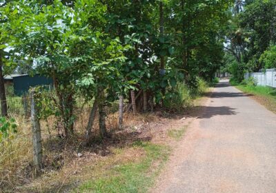 Land For Sale In Kuliyapitiya