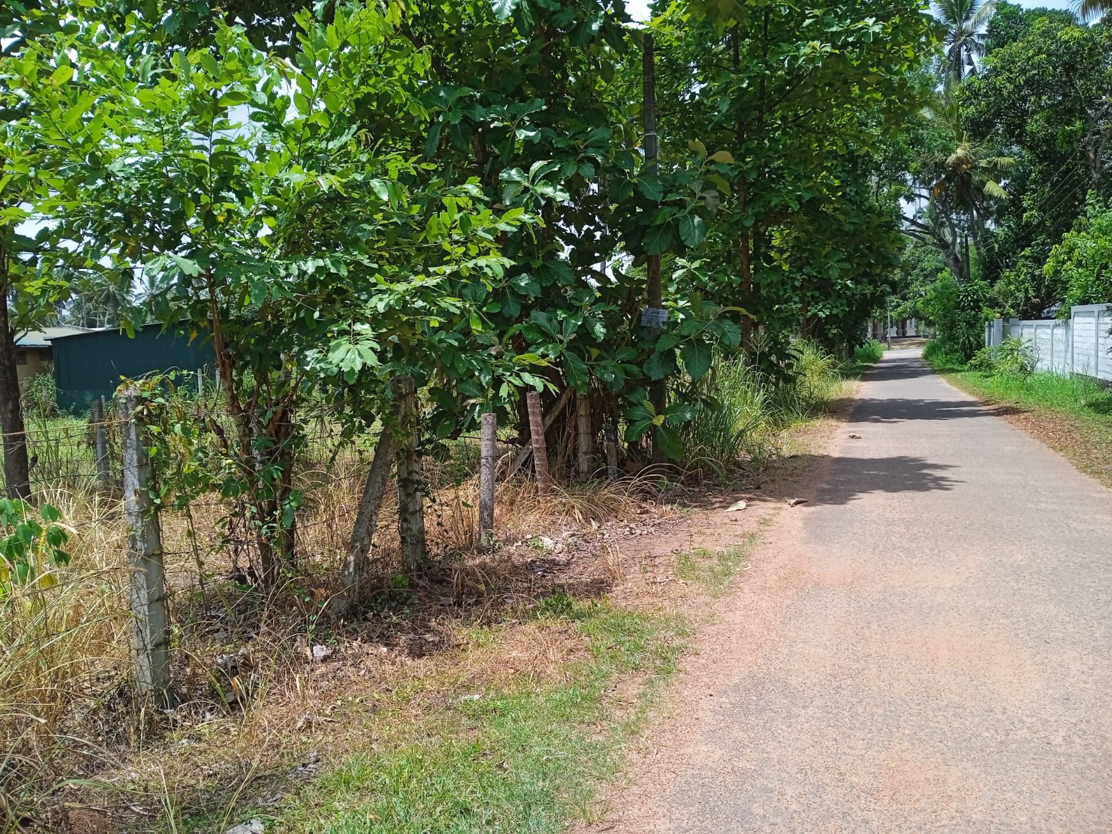 Land For Sale In Kuliyapitiya