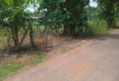Land For Sale In Kuliyapitiya