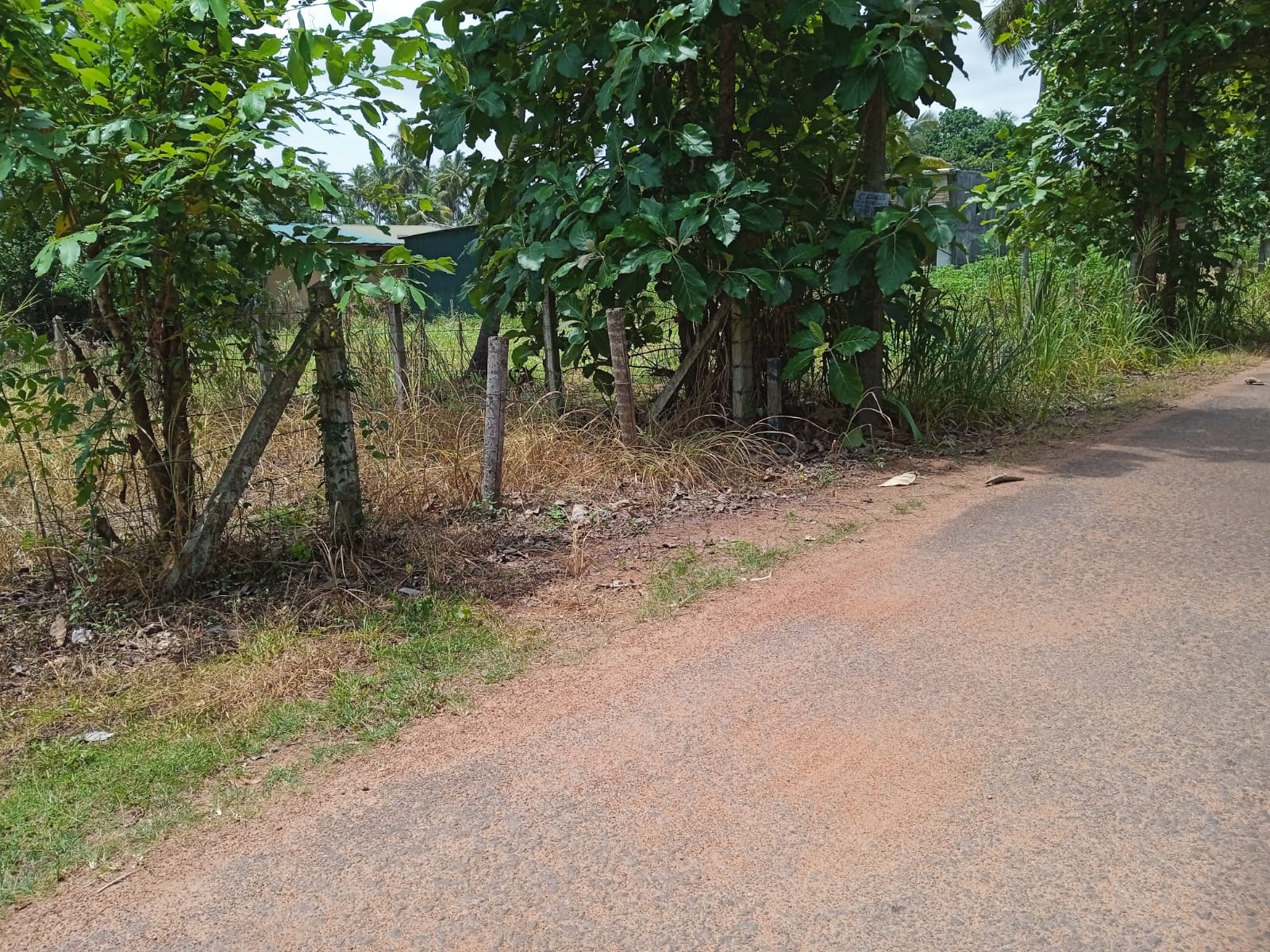 Land For Sale In Kuliyapitiya