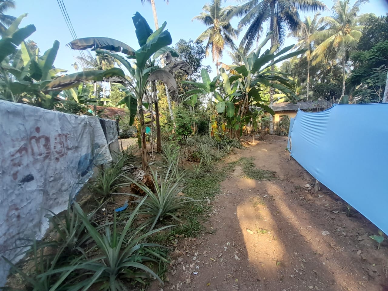 Land with House for Sale Delgoda