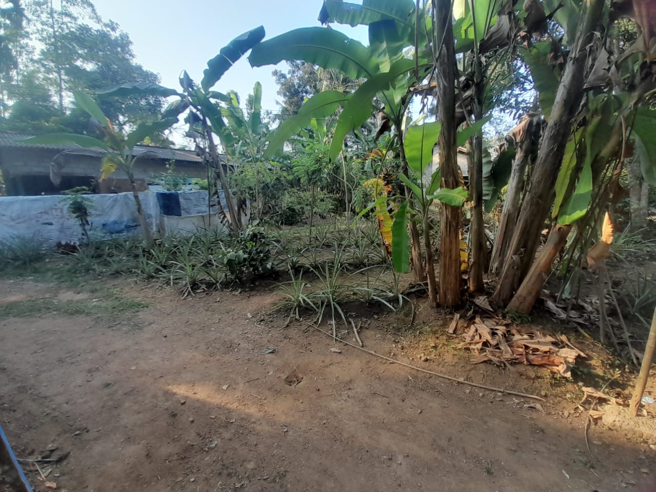 Land with House for Sale Delgoda