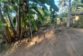 Land with House for Sale Delgoda