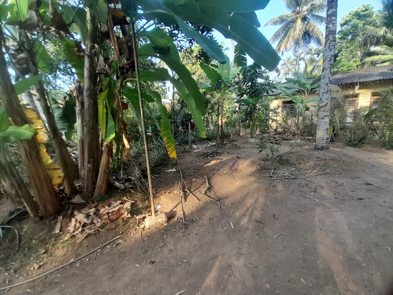 Land with House for Sale Delgoda