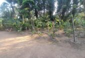 Land with House for Sale Delgoda