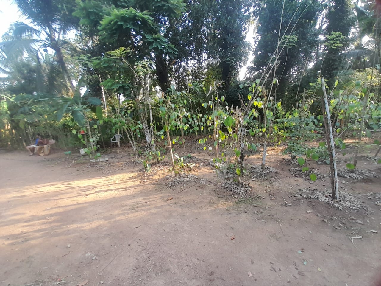 Land with House for Sale Delgoda