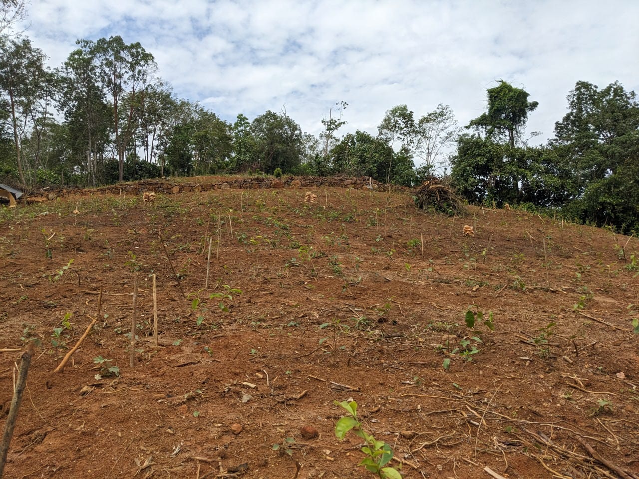 දැරනියගල අක්කර3 1/4 ඉඩම විකිනීමට