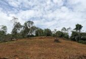 දැරනියගල අක්කර3 1/4 ඉඩම විකිනීමට