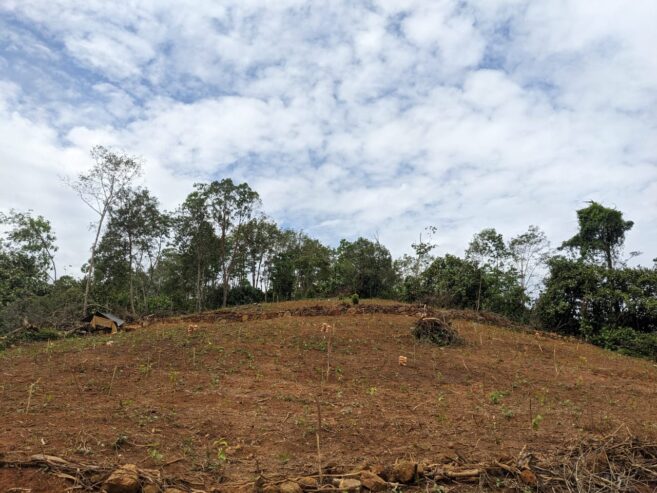 දැරනියගල අක්කර3 1/4 ඉඩම විකිනීමට