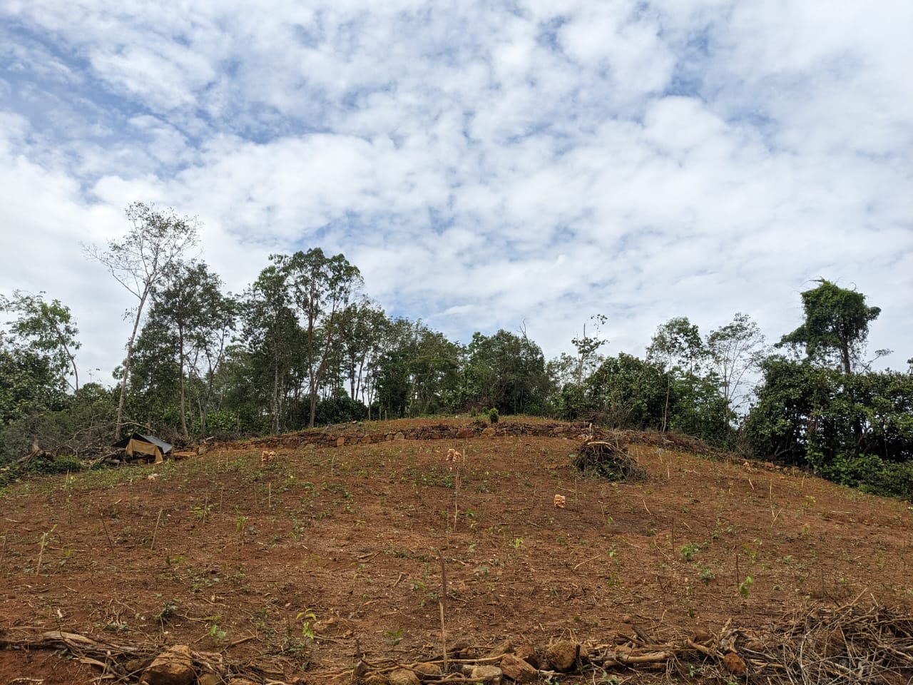 දැරනියගල අක්කර3 1/4 ඉඩම විකිනීමට
