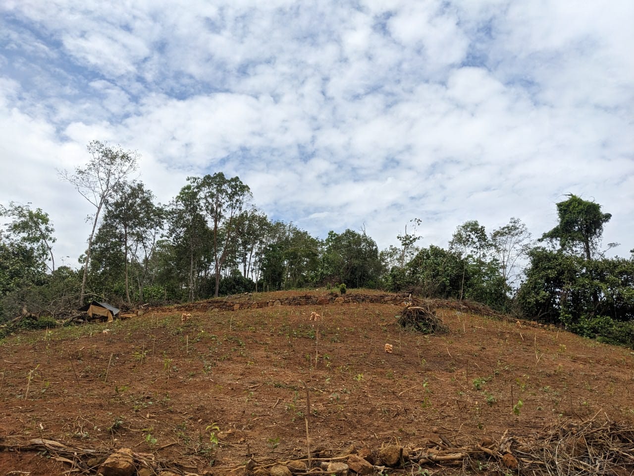 දැරනියගල අක්කර3 1/4 ඉඩම විකිනීමට