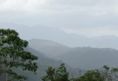 දැරනියගල අක්කර3 1/4 ඉඩම විකිනීමට