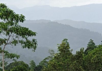 දැරනියගල අක්කර3 1/4 ඉඩම විකිනීමට